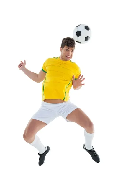 MK体育 发展历程